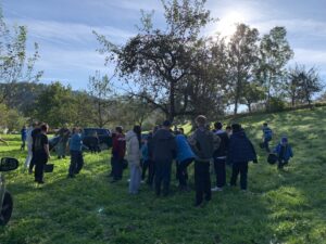 Apfelernte im Glanz der Herbstsonne.